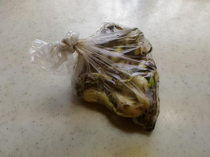 f:id:NShufu:20190708162955j:plain f:id:NShufu:20190708162955j:plain