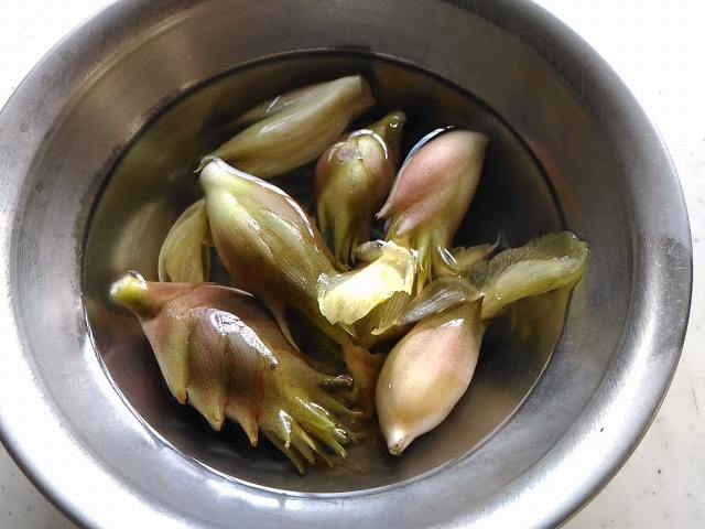 f:id:NShufu:20190912161636j:plain f:id:NShufu:20190912161636j:plain