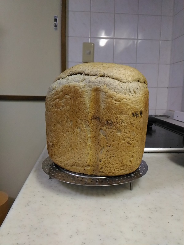 焼けたすりごまパン。