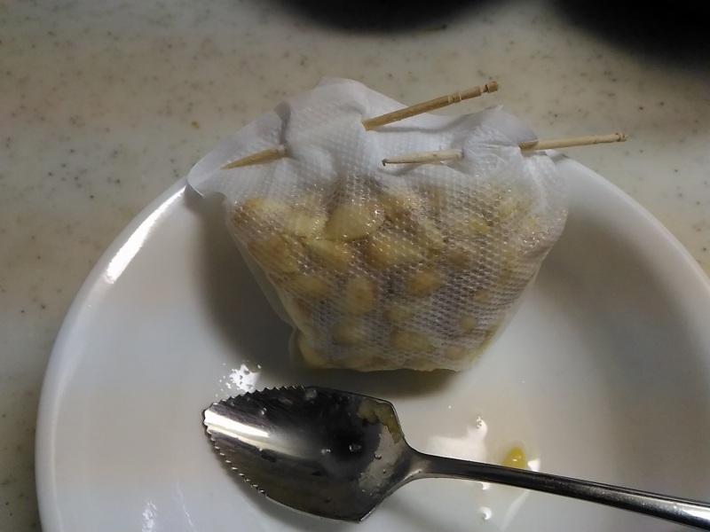 種をお茶用パックに詰めて楊枝で封。
