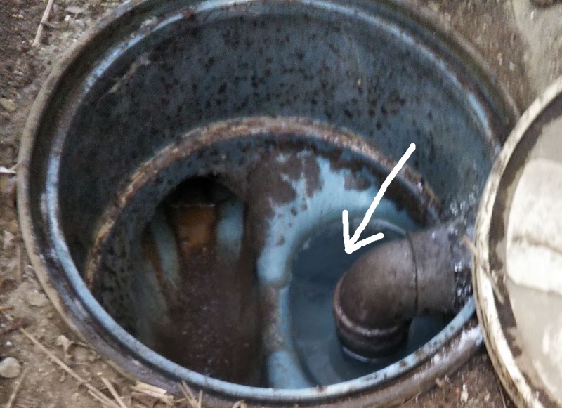 封水のある排水桝。