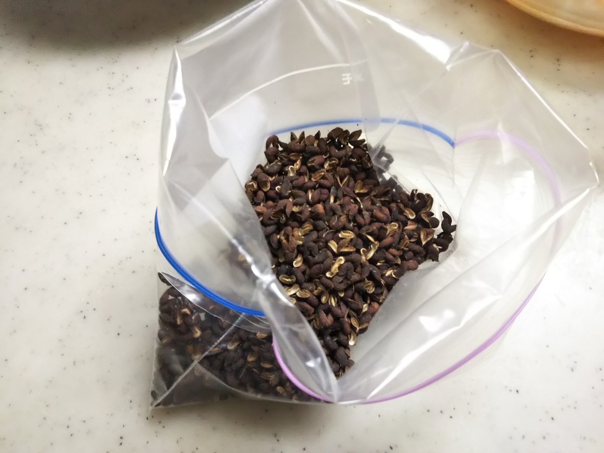 山椒の実(の皮)。