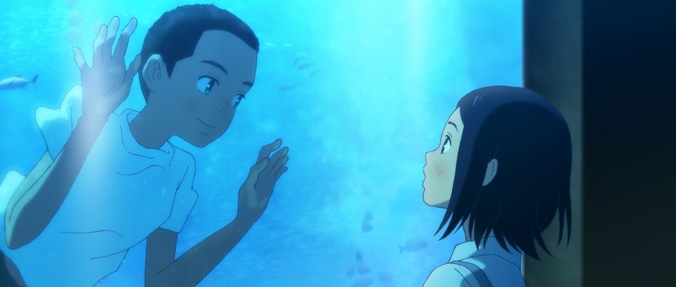 f:id:NTYG009:20190803173447j:plain 水槽の中の中にいる海と目が合う琉花