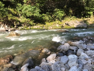 f:id:NTYG009:20190820222337j:plain 流れが速い川