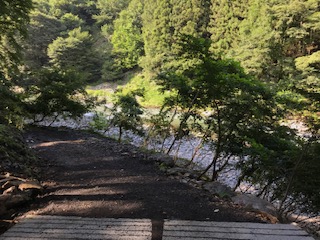 f:id:NTYG009:20190821005248j:plain 神庭キャンプ場の近くの川