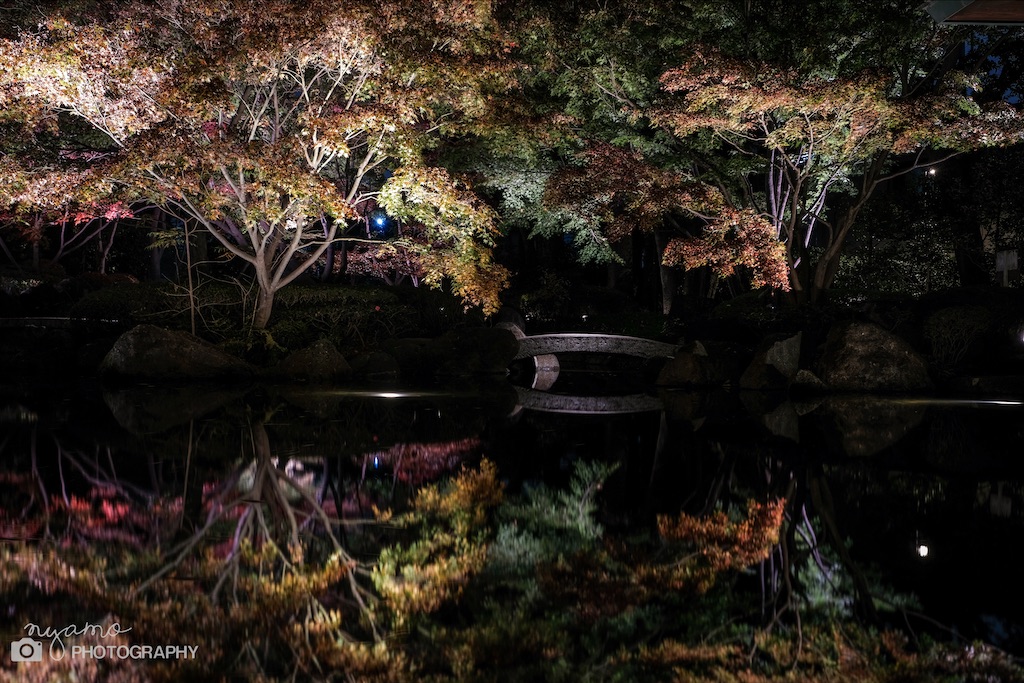 f:id:NYAMOTAMO:20201203011932j:plain