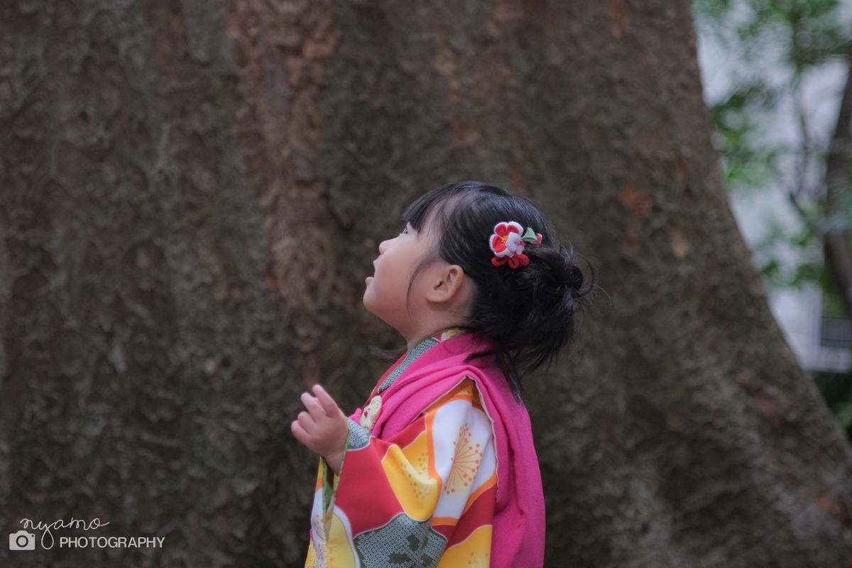 f:id:NYAMOTAMO:20201206021138j:plain