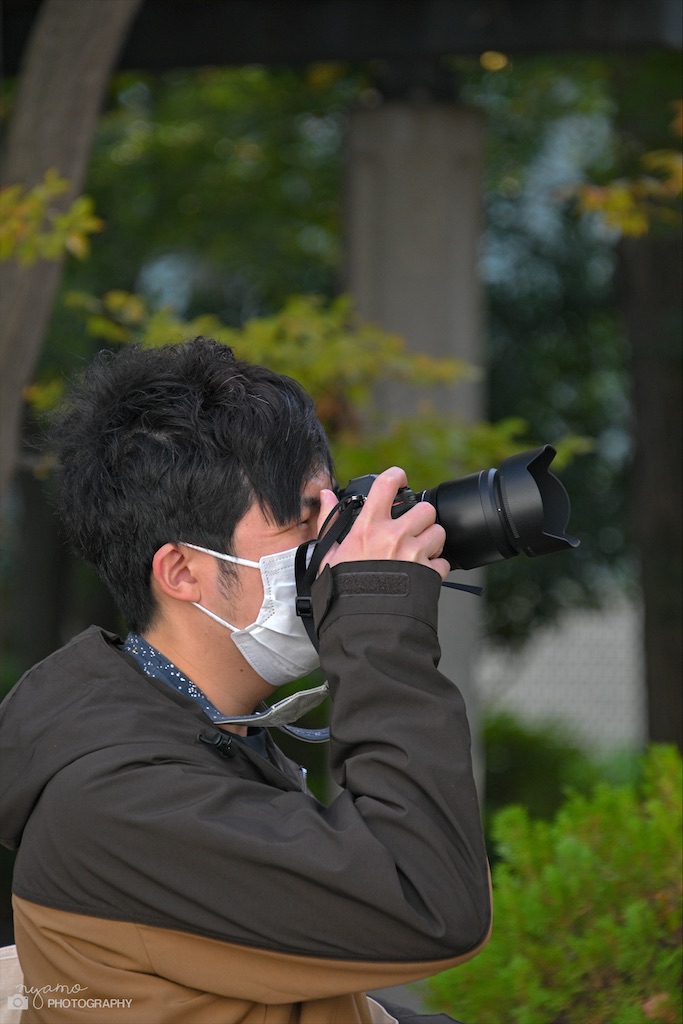 f:id:NYAMOTAMO:20211124222619j:plain