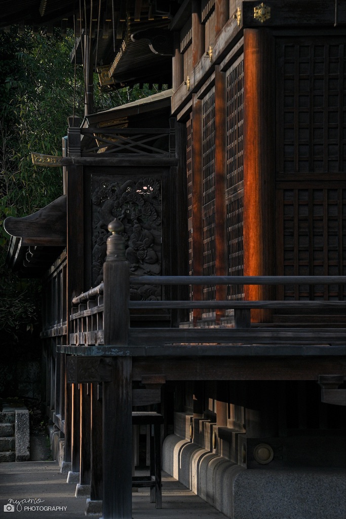 f:id:NYAMOTAMO:20211124222705j:plain