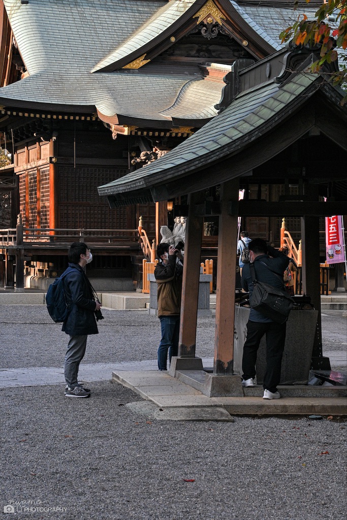 f:id:NYAMOTAMO:20211124222708j:plain