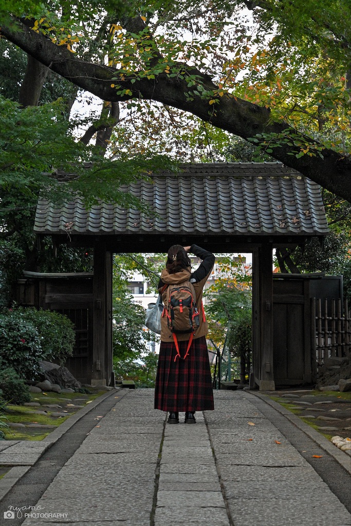 f:id:NYAMOTAMO:20211124222725j:plain