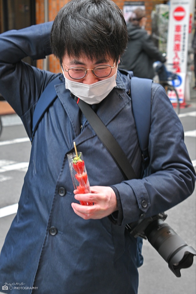 f:id:NYAMOTAMO:20211124222849j:plain