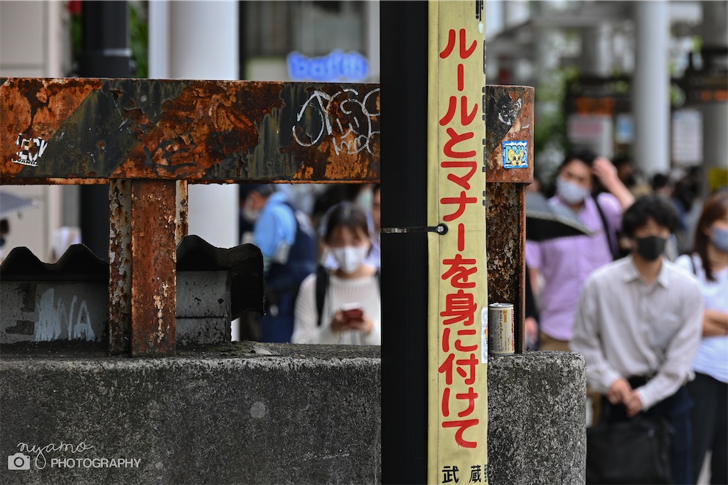 f:id:NYAMOTAMO:20220802161440j:image f:id:NYAMOTAMO:20220802161440j:image