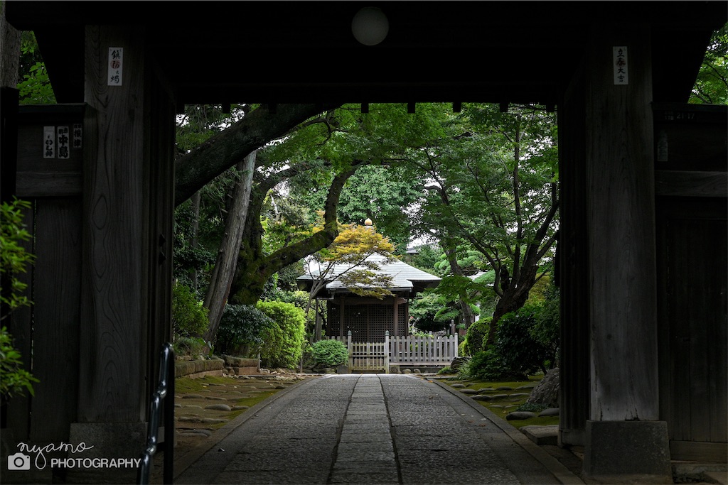 f:id:NYAMOTAMO:20220903120133j:image f:id:NYAMOTAMO:20220903120133j:image
