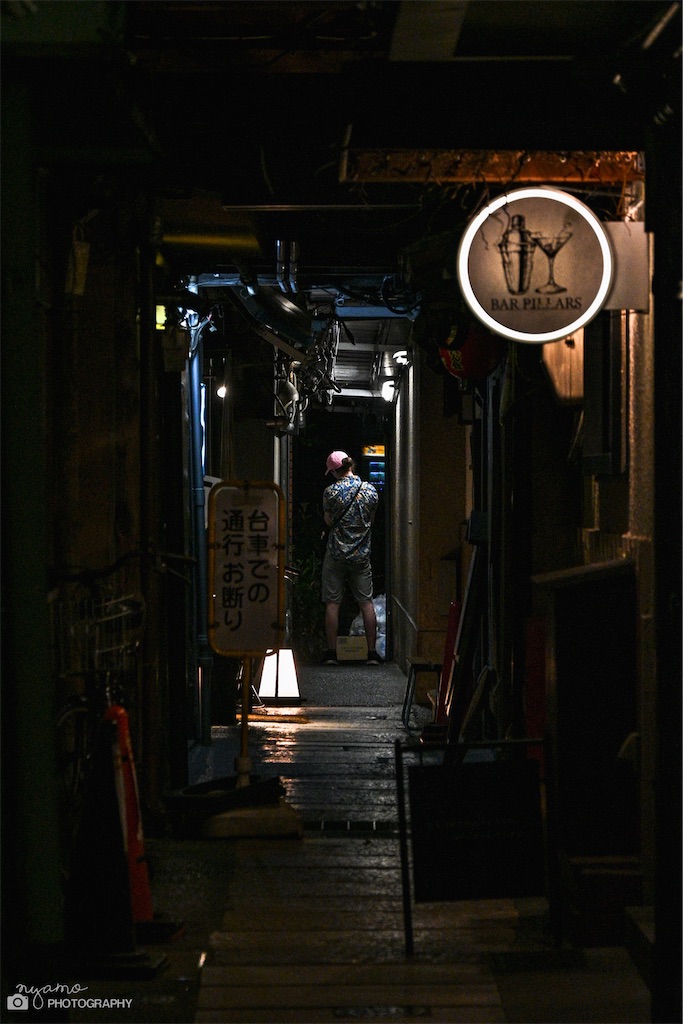 f:id:NYAMOTAMO:20220903120146j:image f:id:NYAMOTAMO:20220903120146j:image