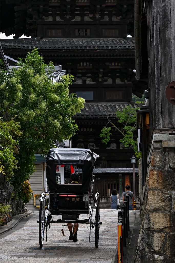 f:id:NYAMOTAMO:20220903120226j:image f:id:NYAMOTAMO:20220903120226j:image