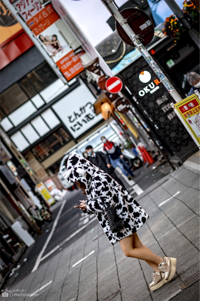 f:id:NYAMOTAMO:20221210224846j:image f:id:NYAMOTAMO:20221210224846j:image