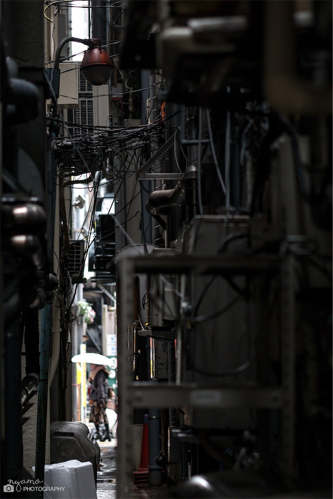 f:id:NYAMOTAMO:20221231201049j:image f:id:NYAMOTAMO:20221231201049j:image