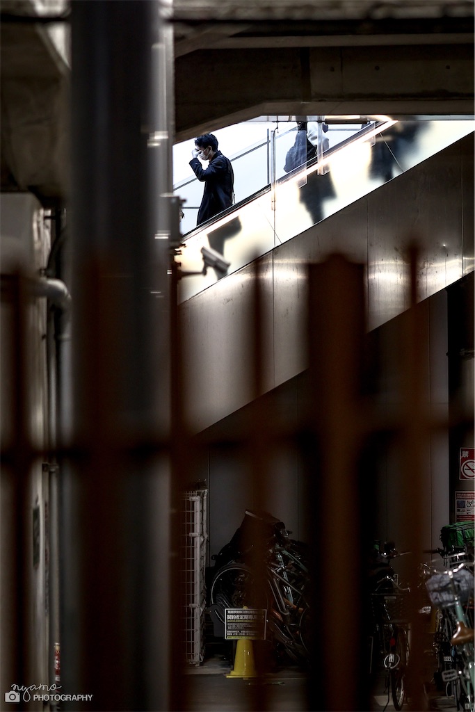 f:id:NYAMOTAMO:20221231201136j:image f:id:NYAMOTAMO:20221231201136j:image