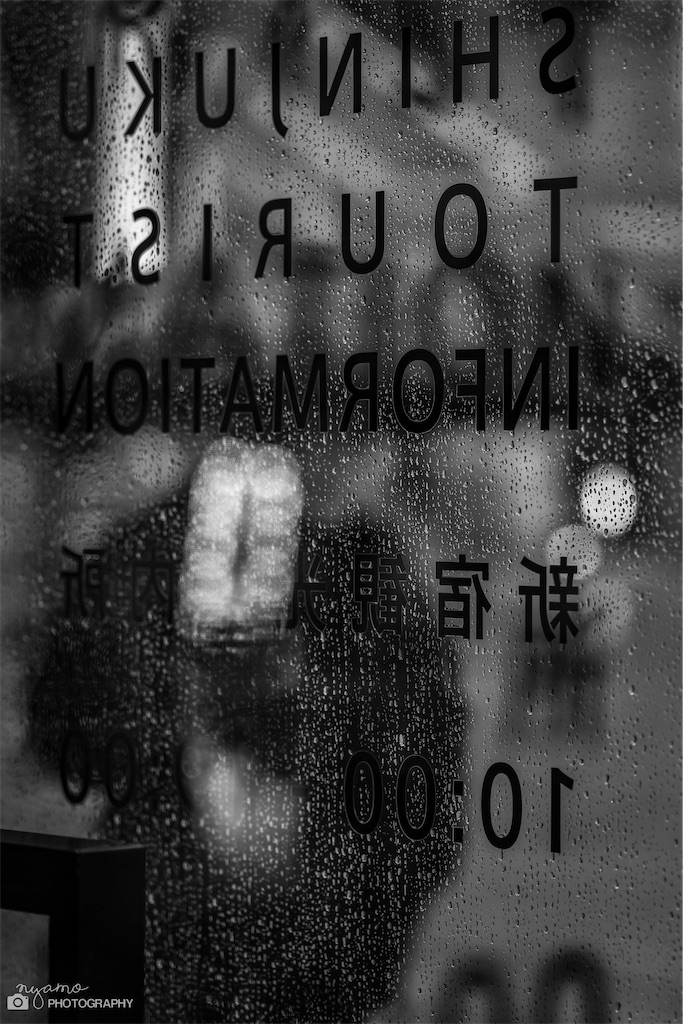 f:id:NYAMOTAMO:20221231201817j:image f:id:NYAMOTAMO:20221231201817j:image