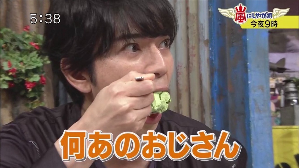 f:id:NYkagechowaka_2:20190320234416j:image