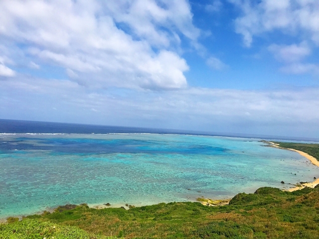 f:id:N_migratorybird:20210316203009j:plain