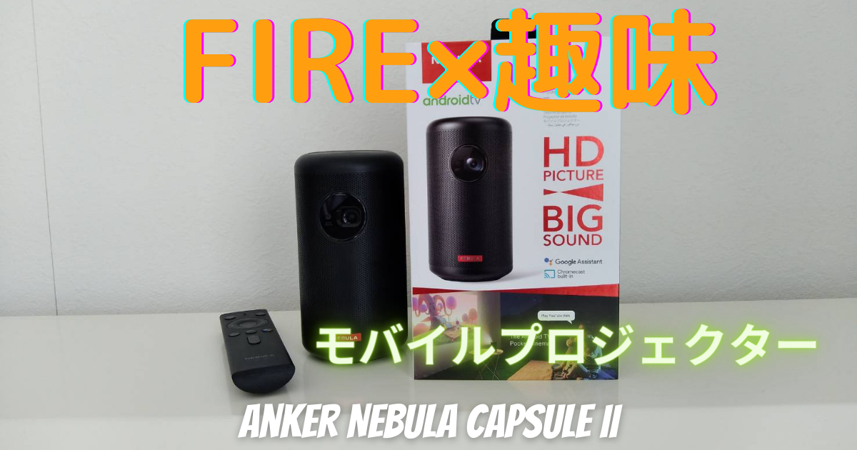 f:id:N_migratorybird:20210424113956p:plain
