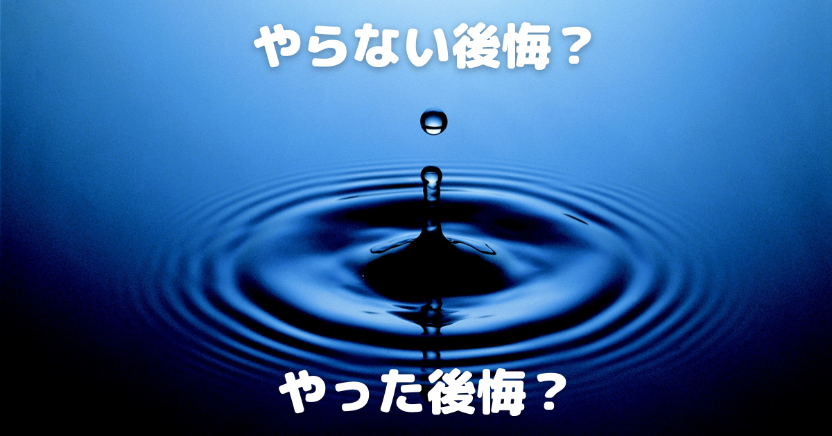 f:id:N_migratorybird:20210920175624p:plain