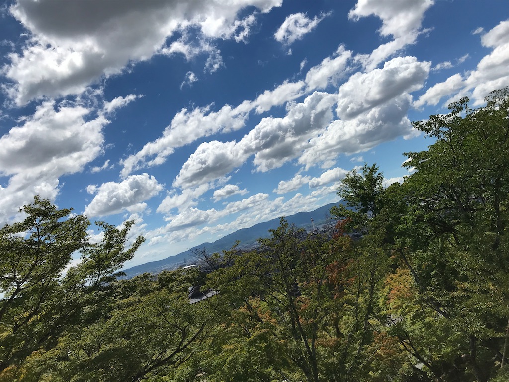 f:id:Nabe_verdy6:20190815085222j:image