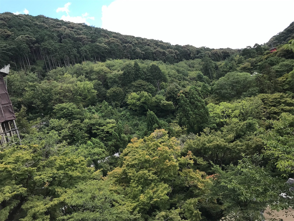 f:id:Nabe_verdy6:20190815085357j:image