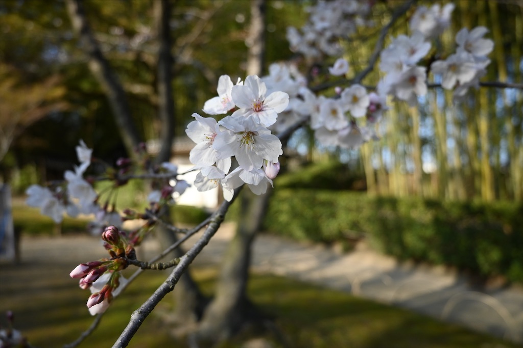 f:id:Nabe_verdy6:20210815052336j:image