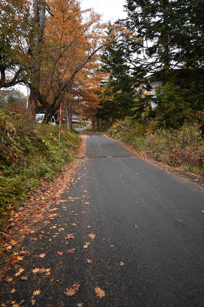 f:id:Nabe_verdy6:20220103010607j:plain