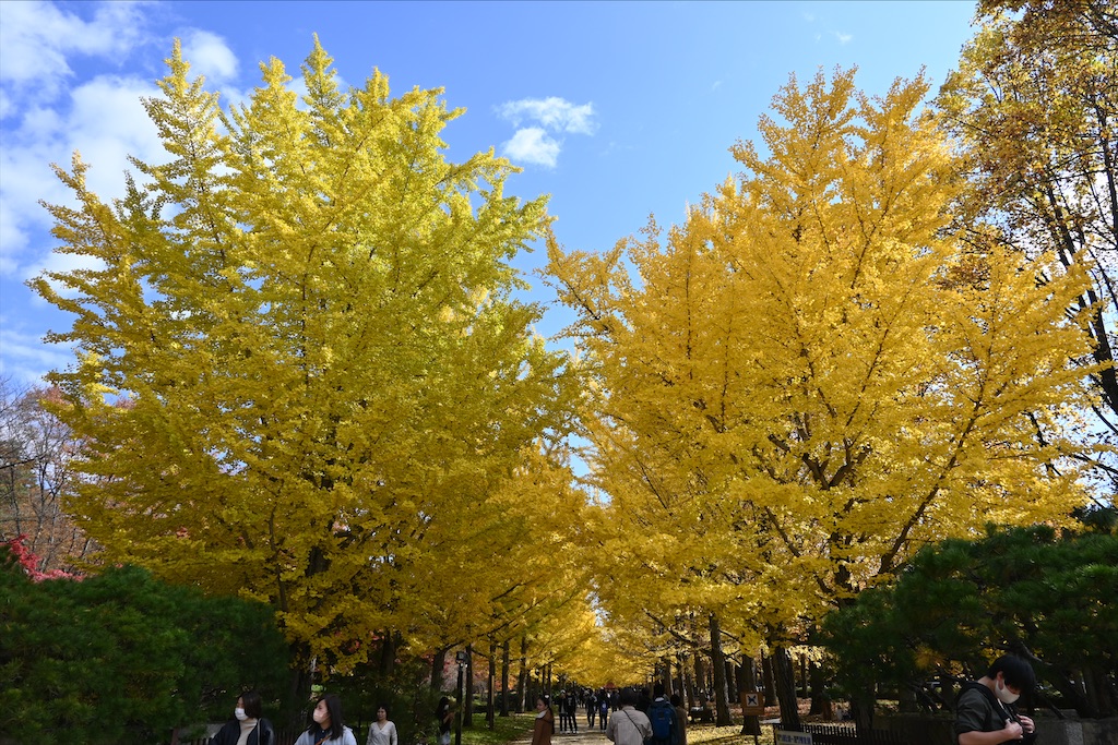 f:id:Nabe_verdy6:20220103023524j:plain
