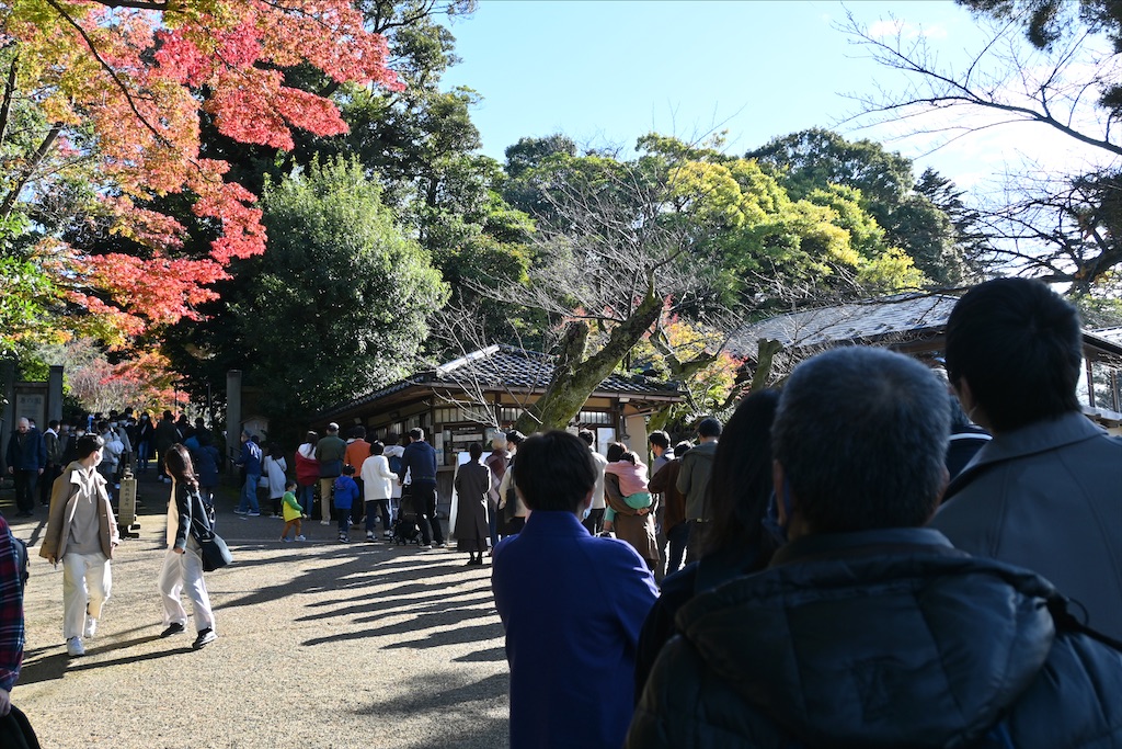 f:id:Nabe_verdy6:20220110191503j:plain