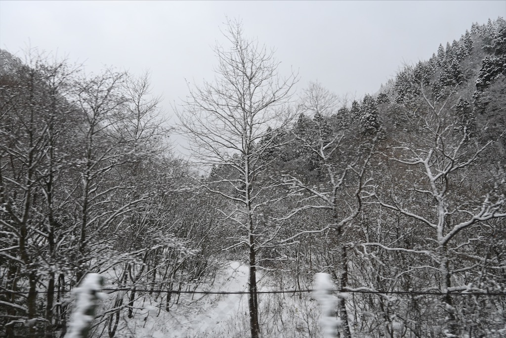 f:id:Nabe_verdy6:20220218015526j:plain