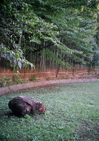 f:id:Nabetani:20051021003535j:image