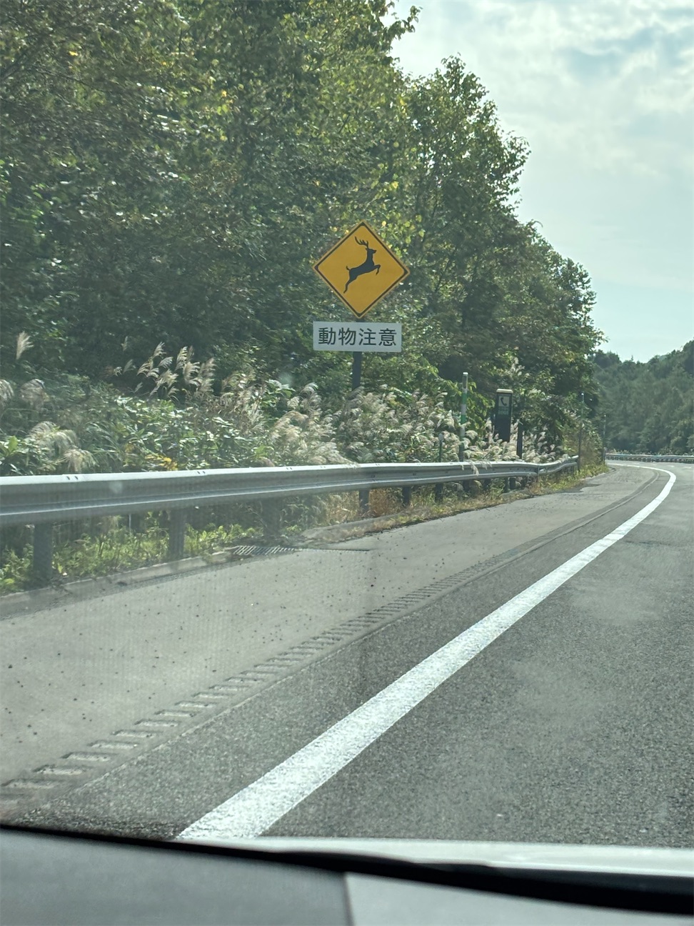 f:id:Nachthimmel:20260926113355j:image