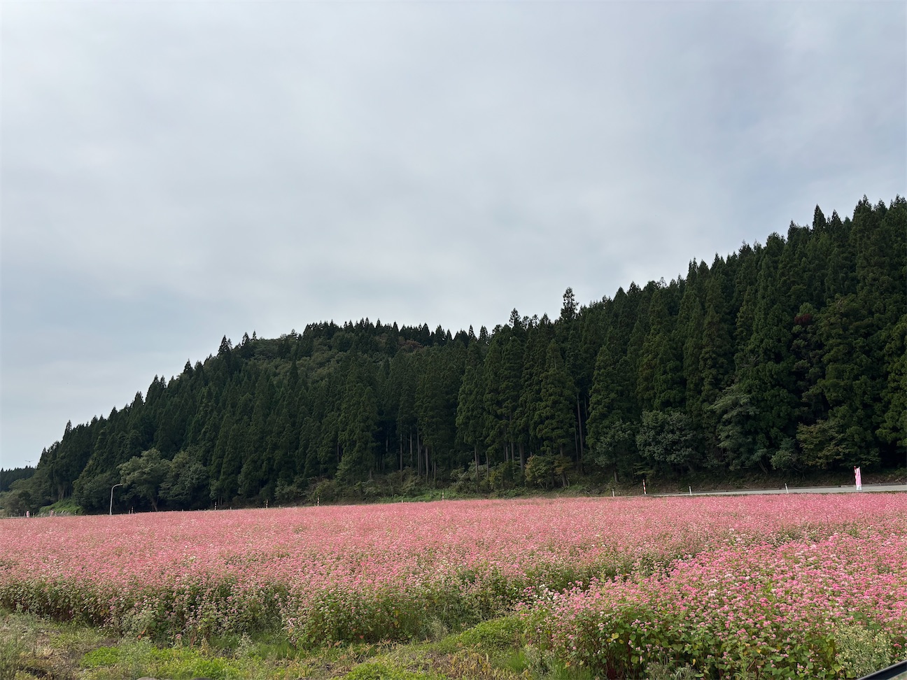 f:id:Nachthimmel:20260926153032j:image