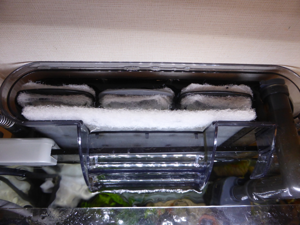 f:id:Nagoya1976:20160820213355j:plain