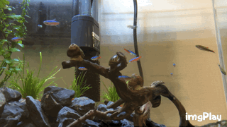 f:id:Nagoya1976:20160821133146g:plain