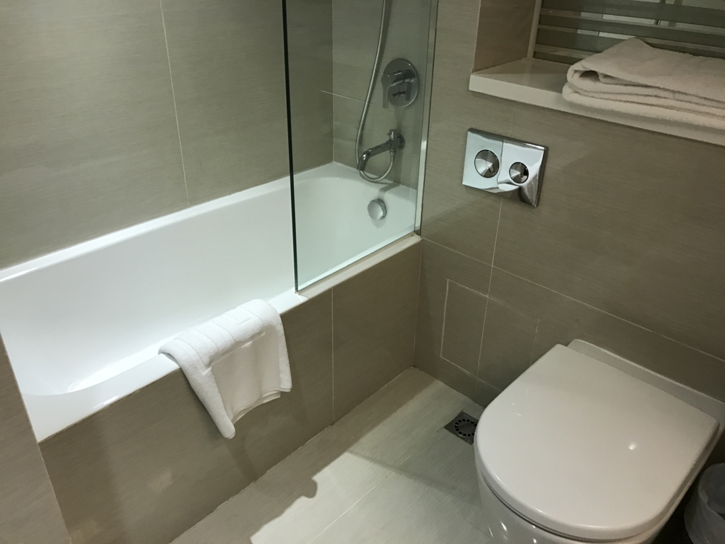 f:id:Nagoya1976:20170107205906j:plain