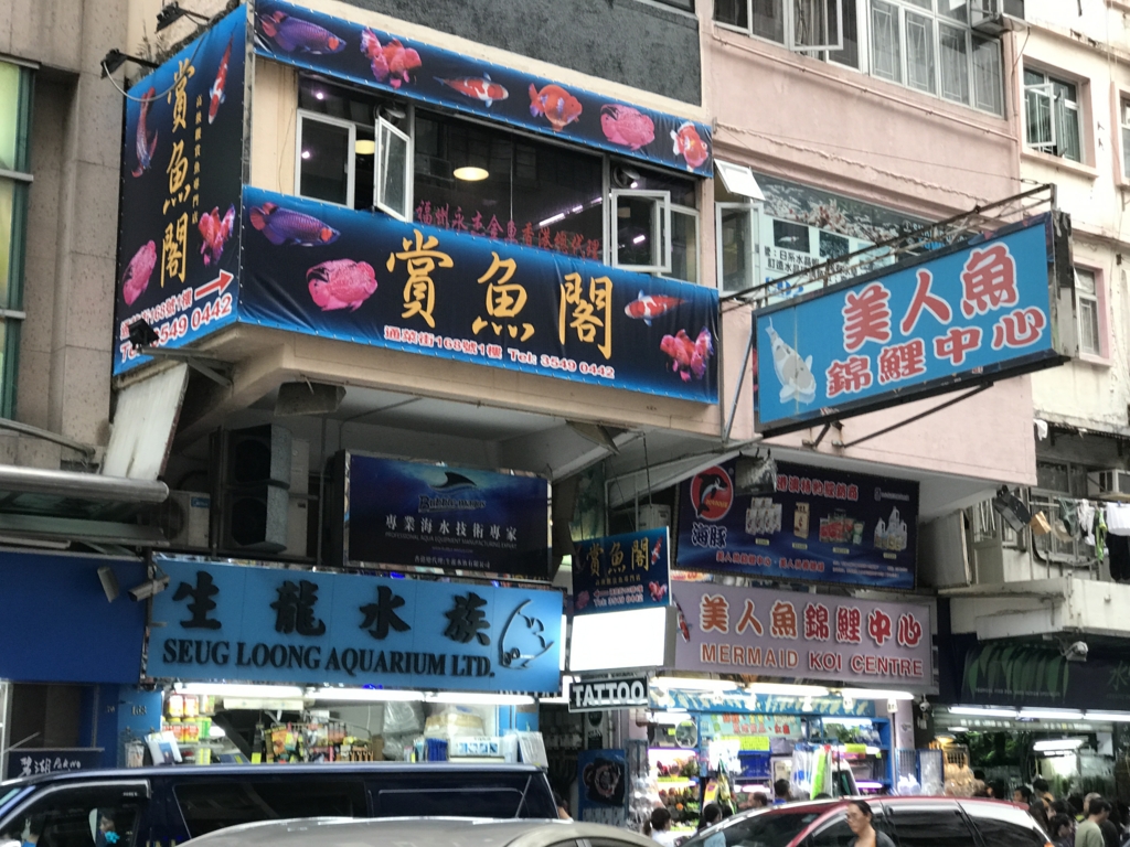 f:id:Nagoya1976:20170114132931j:plain