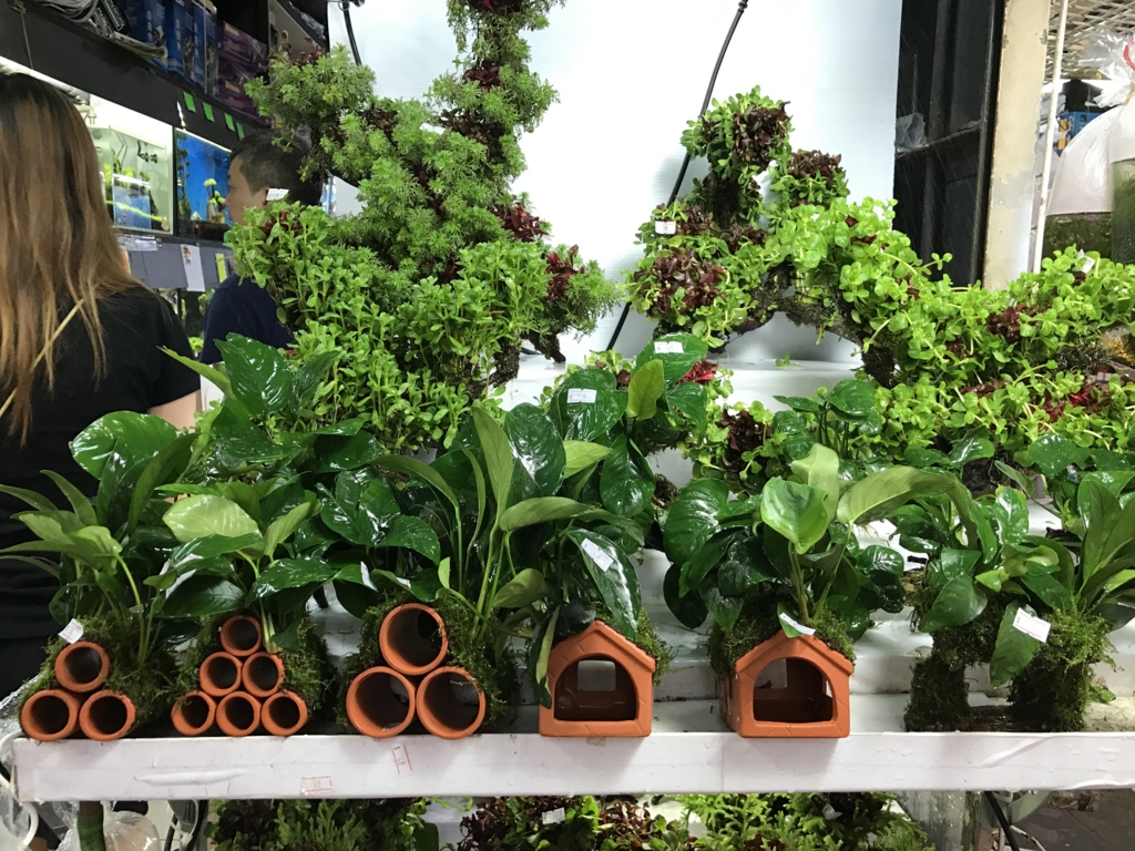 f:id:Nagoya1976:20170114141859j:plain