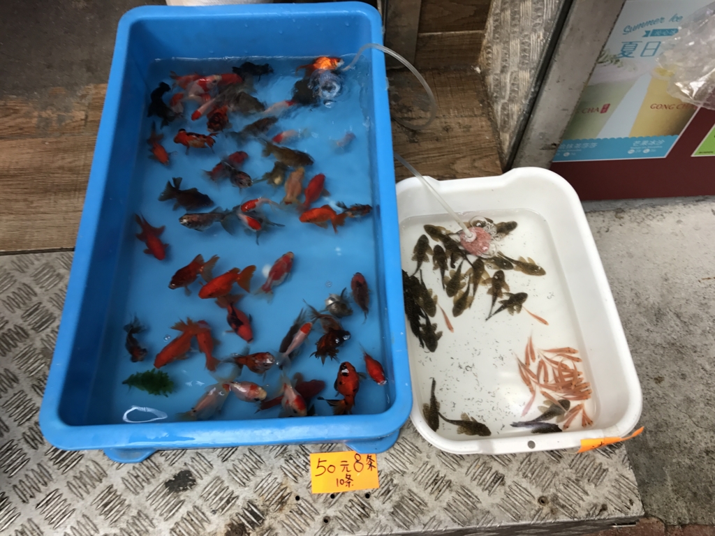 f:id:Nagoya1976:20170114142930j:plain