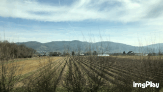 f:id:Nagoya1976:20170311225601g:plain