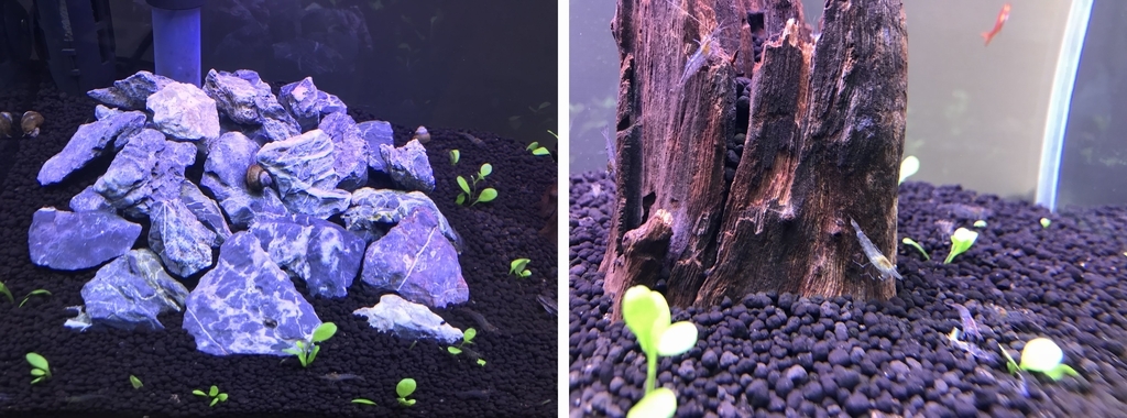 f:id:Nagoya1976:20181118170346j:plain