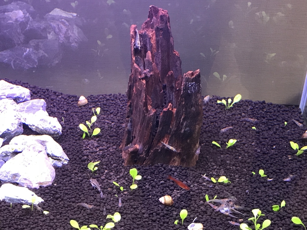 f:id:Nagoya1976:20181118170611j:plain