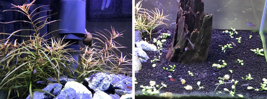 f:id:Nagoya1976:20181214104558j:plain