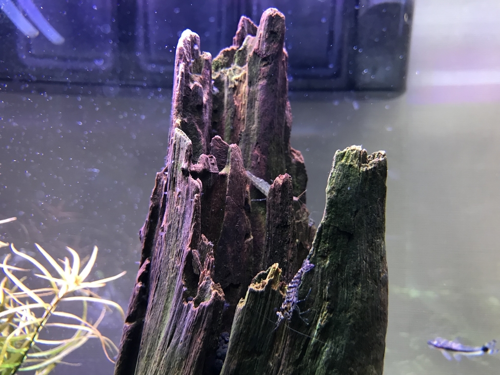 f:id:Nagoya1976:20181214110546j:plain