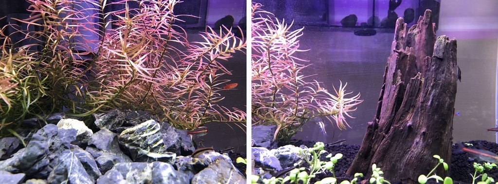 f:id:Nagoya1976:20181231100923j:plain f:id:Nagoya1976:20181231100923j:plain